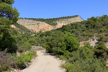 Bardena aragonaise.