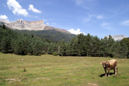 Paysage de douces montagnes.