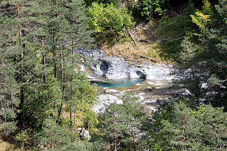 Rivire dans la fort.