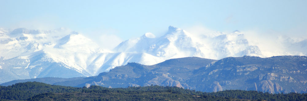 Neige en haute montagne.